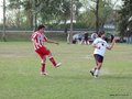 AFUCO8FC 050