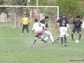 AFUCO8FC 033