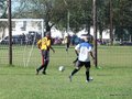 AFUCO10FA2013 104