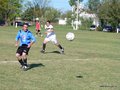 AFUCO10FA2013 012
