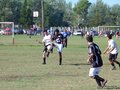 AFUCO10FA2013 047