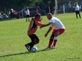 AFUCO10FA2013 023