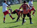 AFUCO10FA2013 024