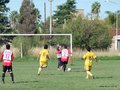 AFUCO10FA2013 095