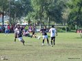 AFUCO10FA2013 044