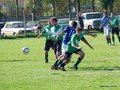 AFUCO10FA2013 078