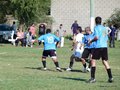 AFUCO10FA2013 015