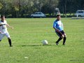 AFUCO10FA2013 010