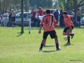 AFUCO10FA2013 029