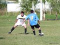 AFUCO10FA2013 018