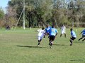 AFUCO10FA2013 009