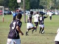AFUCO10FA2013 042