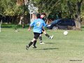 AFUCO10FA2013 014