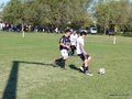 AFUCO10FA2013 038