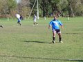 AFUCO10FA2013 011