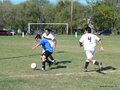 AFUCO10FA2013 013