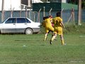 AFUCO10FA2013 086