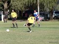 AFUCO11FA2013 110