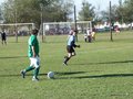 AFUCO11FA2013 118