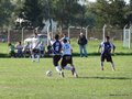AFUCO11FA2013 007