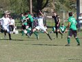 AFUCO11FA2013 049