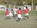 AFUCO11FA2013 054