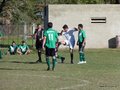 AFUCO11FA2013 048