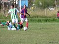 AFUCO11FA2013 022
