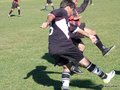 AFUCO11FA2013 090