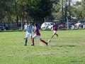 AFUCO11FA2013 017