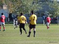 AFUCO11FA2013 067