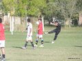 AFUCO11FA2013 058