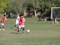 AFUCO11FA2013 055
