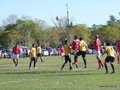 AFUCO11FA2013 071