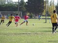 AFUCO11FA2013 063