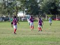 AFUCO11FA2013 014