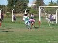AFUCO11FA2013 023