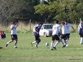 AFUCO11FA2013 003