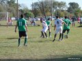 AFUCO11FA2013 039