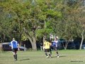 AFUCO11FA2013 100