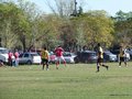 AFUCO11FA2013 068