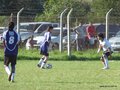 AFUCO11FA2013 001