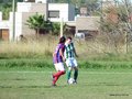 AFUCO11FA2013 027