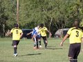 AFUCO11FA2013 102