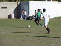 AFUCO11FA2013 044