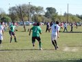 AFUCO11FA2013 038
