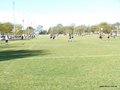 AFUCO11FA2013 083