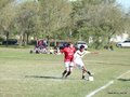 AFUCO11FA2013 060