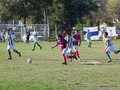 AFUCO11FA2013 016