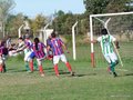 AFUCO11FA2013 030